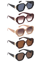 Load image into Gallery viewer, Chic Sunglasses (+)