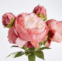 Load image into Gallery viewer, Peonies Bundle