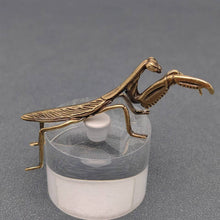 Load image into Gallery viewer, Brass Mantis