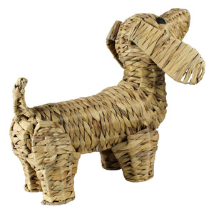 Woven Dog (+)