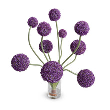 Load image into Gallery viewer, Allium Arrangement