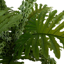 Load image into Gallery viewer, Bells of Ireland Arrangement