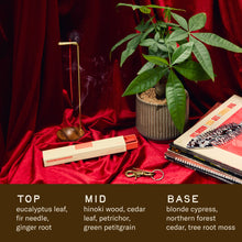 Load image into Gallery viewer, Blonde Hinoki HI-FI Incense Sticks
