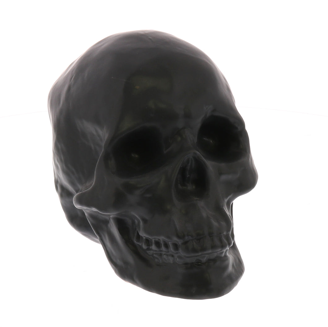 Ceramic Skull