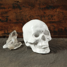 Load image into Gallery viewer, Ceramic Skull