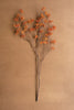 Botanica #1058