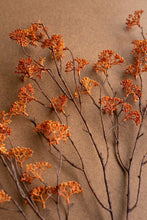 Load image into Gallery viewer, Botanica #1058