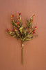 Botanica #2818
