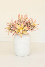 Load image into Gallery viewer, Botanica #2855