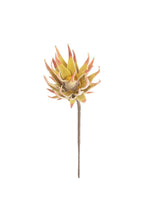 Load image into Gallery viewer, Botanica #2855