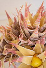 Load image into Gallery viewer, Botanica #2855