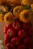 Ceramic Tomato Vase
