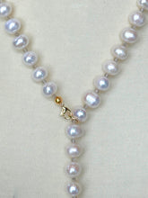 Load image into Gallery viewer, Lariat Pearl Necklace (+)