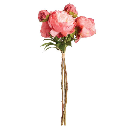 Peonies Bundle