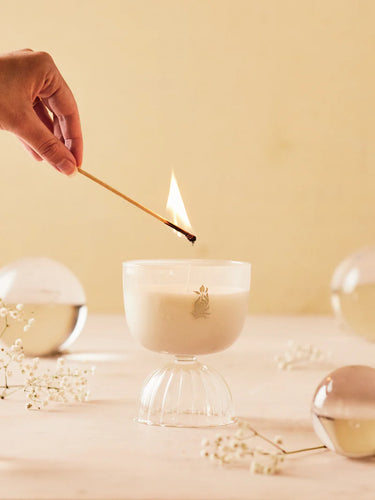 Coupe Prosecco