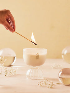Coupe Prosecco