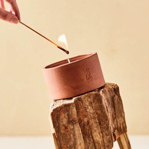 Burning of the Vines