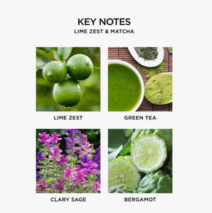 Nest - Lime Zest & Matcha
