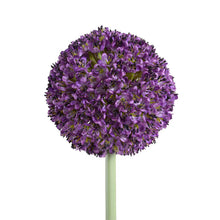 Load image into Gallery viewer, Allium Arrangement