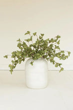 Load image into Gallery viewer, Botanica #9035