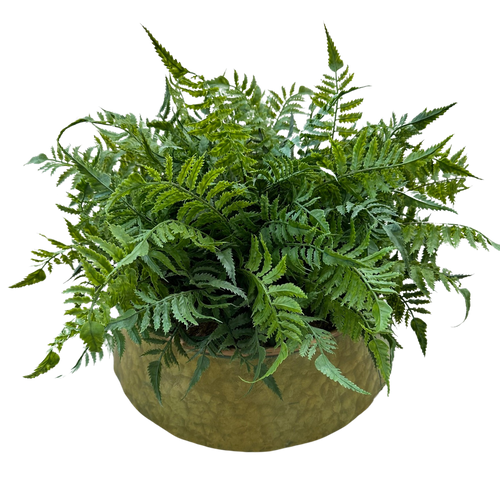 Fern in Metal Planter