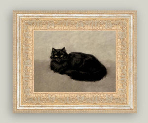Black Cat