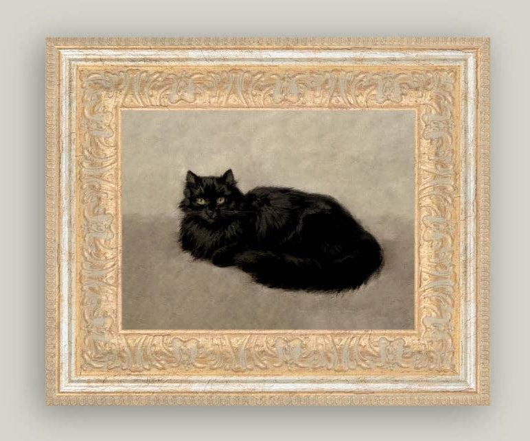 Black Cat