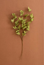 Load image into Gallery viewer, Botanica #9035