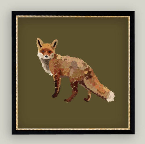 Fox Closeup