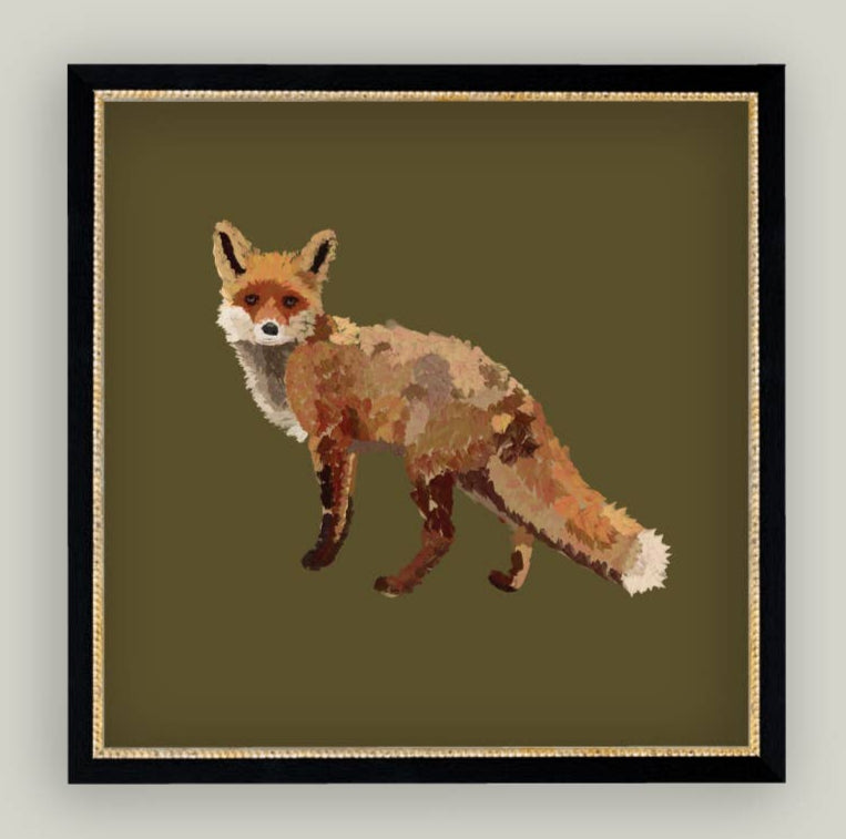 Fox Closeup